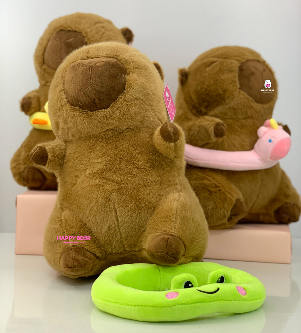 Top 3 Gấu Bông Capybara Hà Nội Được Giới Trẻ Săn Đón Nhất 2025 - HAPPY BEAR 7 Gấu Bông Capybara Phao Bơi HAPPY BEAR