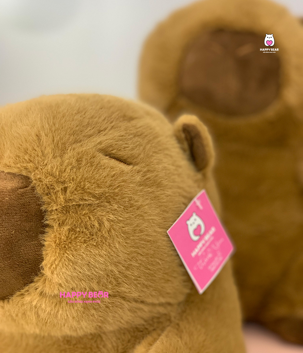 Top 3 Gấu Bông Capybara Hà Nội Được Giới Trẻ Săn Đón Nhất 2025 - HAPPY BEAR 4 Gấu Bông Capybara Phao Bơi HAPPY BEAR
